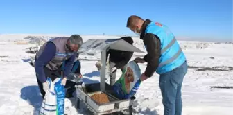 Erciş'te Vefa Grubu, sokak hayvanlarını unutmadı