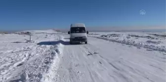 Muradiye'de sokak hayvanlarına yem bırakıldı