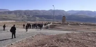 Gazeteciler tarihi Hasankeyf'i ziyaret etti