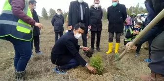 Daday'da 200 üryani eriği toprakla buluştu