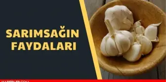 Sarımsağın faydaları nelerdir? İşte Sarımsağın faydaları ve zararları