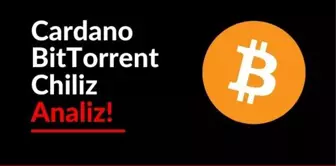 BitTorrent Coin Yorum, Cardano Coin Yorum, Chiliz Coin Yorum: 04 Nisan