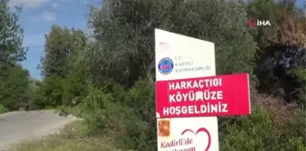 Tek katlı köy evinden Aile ve Sosyal Hizmetler Bakanlığına