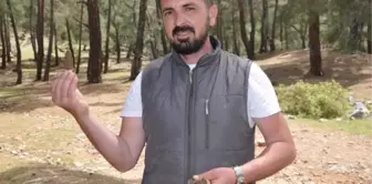 KUZUGÖBEĞİ MANTARIYLA EKONOMİLERİNE KATKI SAĞLIYORLAR