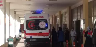 ŞANLIURFA'DA, İKİ KARDEŞ SULAMA KANALINDA BOĞULDU