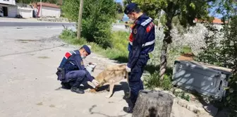 Muğla'da Vefa Sosyal Destek Grubu'nun çalışmaları aralıksız devam ediyor