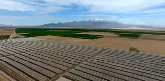 Kayseri Tarım ve Orman Müdürü Şahin'den elma üreten işletmeye ziyaret