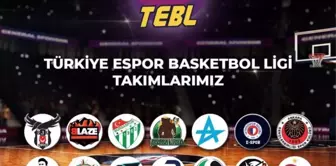 TEB Ligi Sezon 2 takımları duyuruldu!