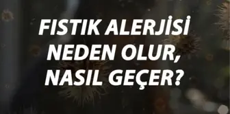 Fıstık Alerjisi Nedir, Neden Olur ve Nasıl Geçer? Fıstık Alerjisi Belirtileri ve Tedavisi Hakkında Bilgi