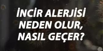 İncir Alerjisi Nedir, Neden Olur ve Nasıl Geçer? İncir Alerjisi Belirtileri ve Tedavisi Hakkında Bilgi