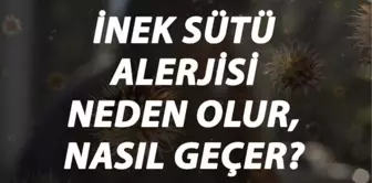 İnek Sütü Alerjisi Nedir, Neden Olur ve Nasıl Geçer? İnek Sütü Alerjisi Belirtileri ve Tedavisi Hakkında Bilgi