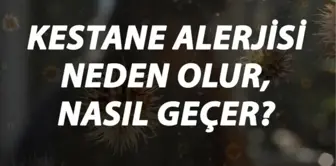 Kestane Alerjisi Nedir, Neden Olur ve Nasıl Geçer? Kestane Alerjisi Belirtileri ve Tedavisi Hakkında Bilgi