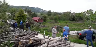 Giresun'da baltalı dehşet: Annesini öldürdü, kardeşini ve 2 polisi yaraladı