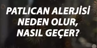 Patlıcan Alerjisi Nedir, Neden Olur ve Nasıl Geçer? Patlıcan Alerjisi Belirtileri ve Tedavisi Hakkında Bilgi