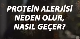 Protein Alerjisi Nedir, Neden Olur ve Nasıl Geçer? Protein Alerjisi Belirtileri ve Tedavisi Hakkında Bilgi