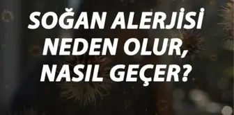 Soğan Alerjisi Nedir, Neden Olur ve Nasıl Geçer? Soğan Alerjisi Belirtileri ve Tedavisi Hakkında Bilgi