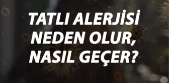 Tatlı Alerjisi Nedir, Neden Olur ve Nasıl Geçer? Tatlı Alerjisi Belirtileri ve Tedavisi Hakkında Bilgi