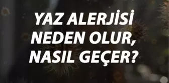 Yaz Alerjisi Nedir, Neden Olur ve Nasıl Geçer? Yaz Alerjisi Belirtileri ve Tedavisi Hakkında Bilgi