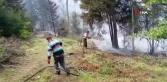 Son dakika haberleri | Artvin'deki orman yangınında 4 bin çam ve ladin ağacı yandı