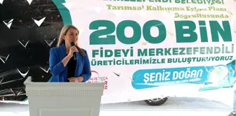 Merkezefendi Belediyesinden üreticiye 200 bin fide desteği