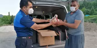 Mersin'de yaralı bulunan leylek tedavi altına alındı