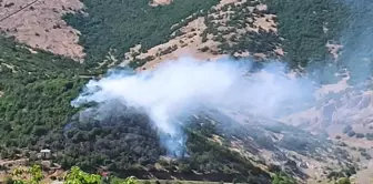 Bingöl'de çıkan orman yangınları büyümeden söndürüldü