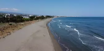 Doğu Akdeniz sahilleri anaç deniz kaplumbağaları için hazırlandı