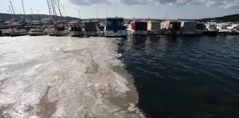 Kocaeli Büyükşehir Belediye Başkanı Büyükakın: Marmara'yı foseptik gibi kullanmışız