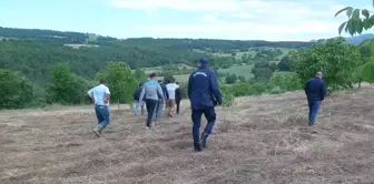 Sakarya'da kaybolan yaşlı adam yaralı halde bulundu