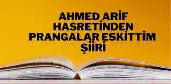 Hasretinden Prangalar Eskittim şiiri - Ahmed Arif Hasretinden Prangalar Eskittim şiiri