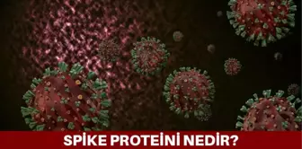 Spike Proteini nedir? Spike Proteini yapay mı? mRNA aşıları spike proteini mi veriyor?