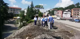 Zonguldak'ta derenin taşması sonucu su basan beldede hasar tespit çalışmaları tamamlandı