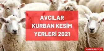 Avcılar kurban pazar, kesim ve satış yerleri! 2021 İstanbul Avcılar kurbanlık pazar yerleri, satış yerleri ve kesim yerleri nerede?