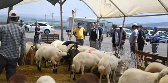 Kayseri'de kurban pazarları denetlendi