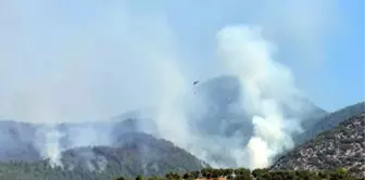 Son dakika haberleri | Hassa'daki yangın, 2'nci günde de devam ediyor