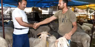 Kuşadası Kurban Bayramı'na hazır