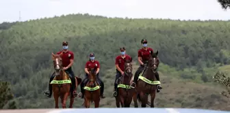 Atlı polislerden Sultangazi Belediyesi Kent Ormanı'nda koronavirüs denetimi