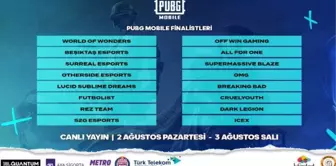 2021 TESFED PUBG Mobile Türkiye Kupası Finalistleri belli oldu!