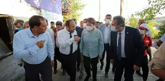 İYİ Parti Genel Başkanı Akşener, Adana Aladağ'daki orman yangınında zarar gören alanları inceledi