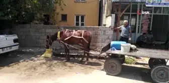 Aşırı sıcaktan bunalanlar derelerde ve akarsulara akın etti, sokaklar boş kaldı