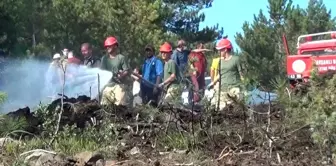 Tavşanlı'da ormanlık alanda çıkan yangın büyümeden söndürüldü