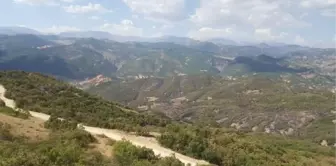 Tunceli'de ormanın 2 gün yandığı bölgede soğutma çalışması sona erdi