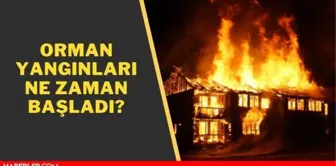 Yangınlar ne zaman başladı? Yangının kaçıncı günü? Manavgat yangını ne zaman başladı? Orman yangınları son dakika!