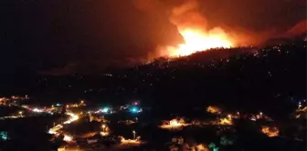 Son dakika haber... Metrelerce yükselen alevler geceyi aydınlattı