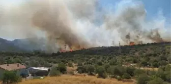 Urla'da makilik ve bozuk orman alanında yangın (2)- Yeniden