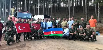 AK Partili Şahin Tin, Denizli sınırına dayanan yangın bölgesine gitti