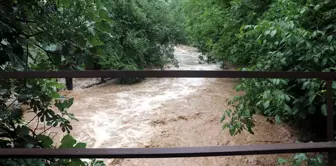 Karabük'te kuvvetli sağanak nedeniyle dereler taştı