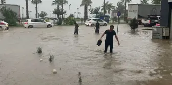 Ordu'da sel: Karadeniz Sahil Yolu ulaşıma kapandı, iş yerlerini su bastı