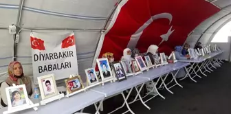 Evlat nöbetindeki anne: 'Siyaset yapmaya değil, oğlumu almaya geldim'