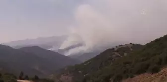 Son dakika haberleri! Tunceli kırsalındaki örtü yangınını söndürme çalışmaları devam ediyor